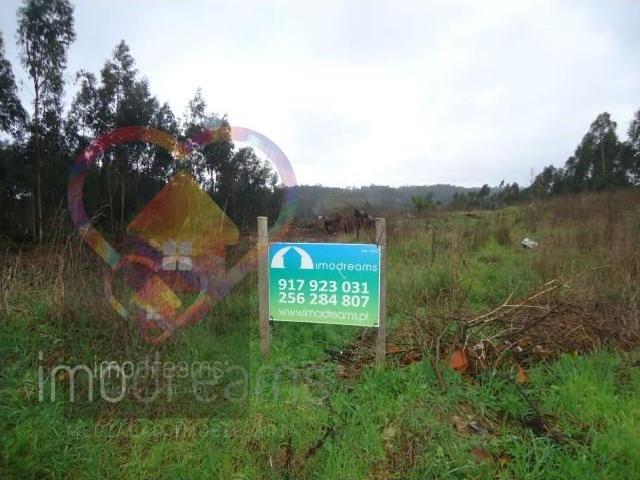 Terreno venda em Oliveira De Azeméis, Aveiro