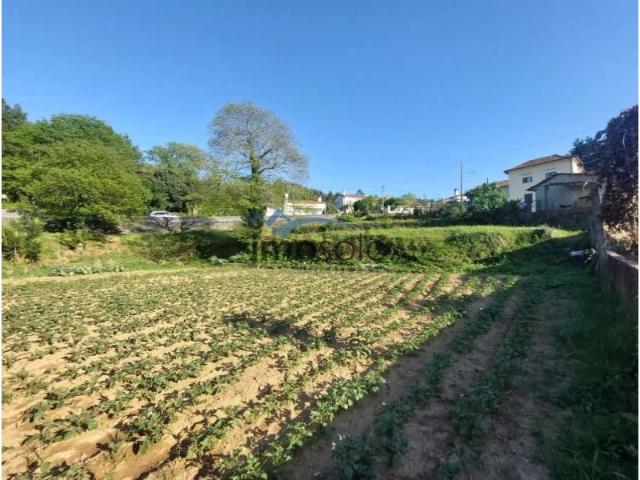 Terreno venda em Oliveira De Azeméis, Aveiro