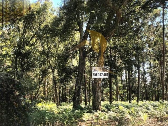 Terreno venda em Oliveira De Azeméis, Aveiro