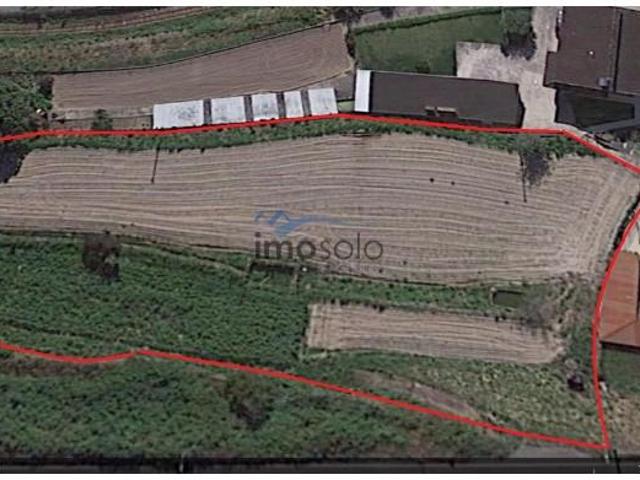 Terreno venda em Oliveira De Azeméis, Aveiro