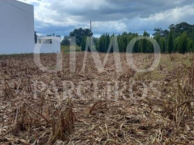Terreno venda em Oliveira Do Bairro, Aveiro