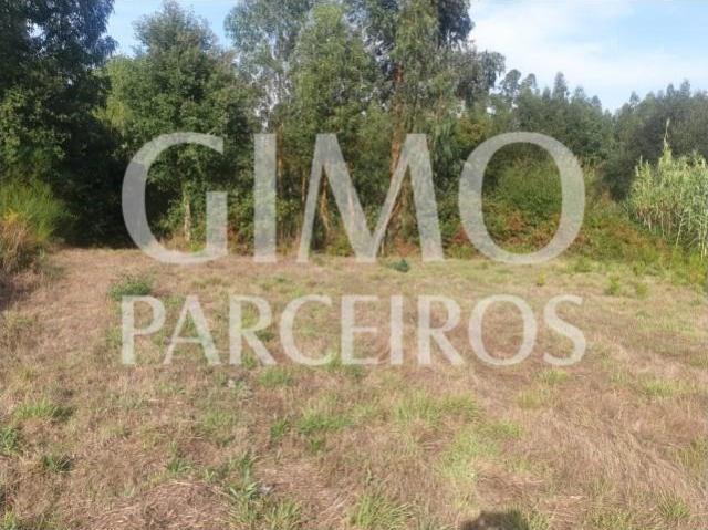 Terreno venda em Oliveira Do Bairro, Aveiro