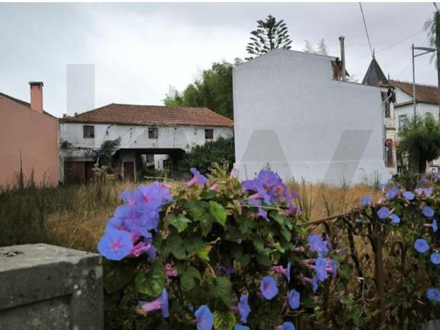 Terreno venda em Oliveira do Bairro