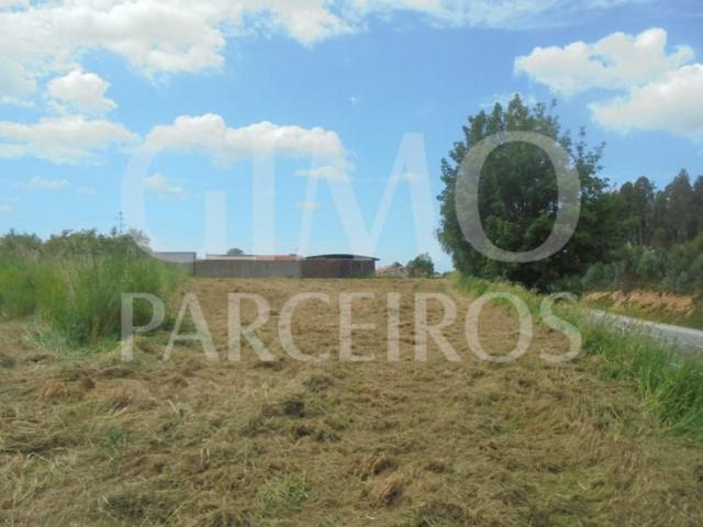 Terreno venda em Oliveira Do Bairro, Aveiro