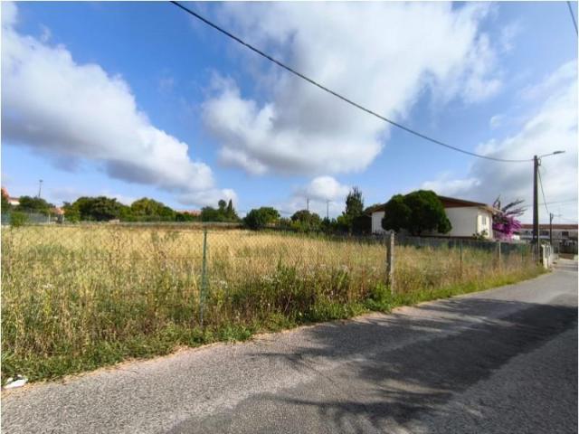Terreno venda em Oliveira Do Bairro, Aveiro