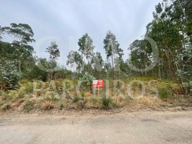 Terreno venda em Oliveira Do Bairro, Aveiro