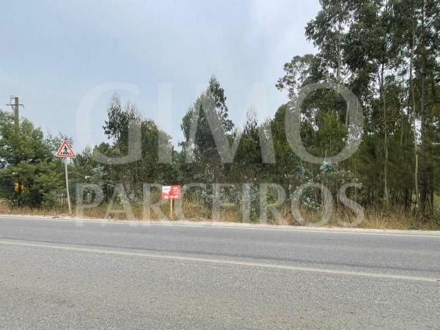 Terreno venda em Oliveira Do Bairro, Aveiro
