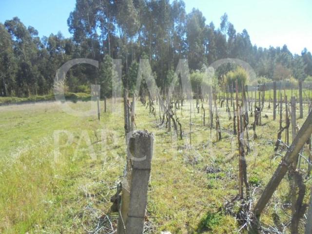 Terreno venda em Oliveira Do Bairro, Aveiro