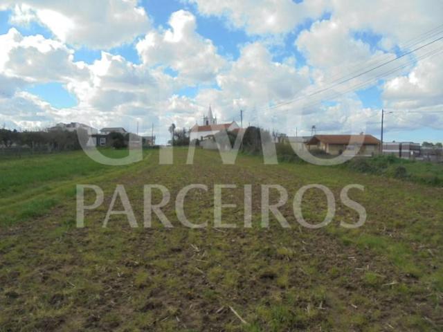 Terreno venda em Oliveira Do Bairro, Aveiro