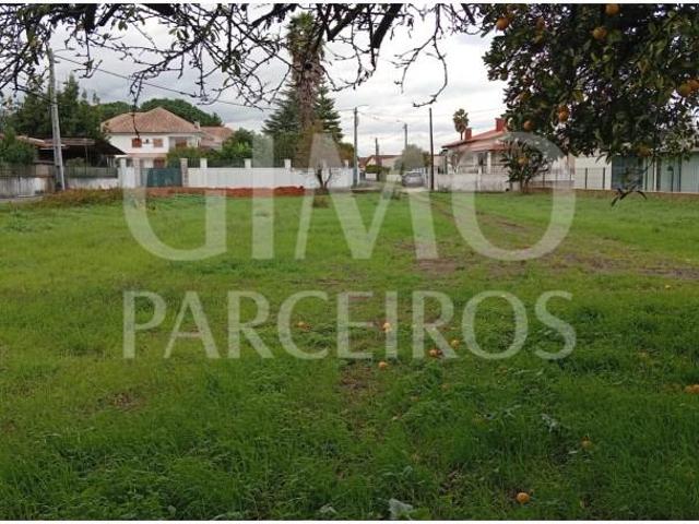 Terreno venda em Oliveira Do Bairro, Aveiro