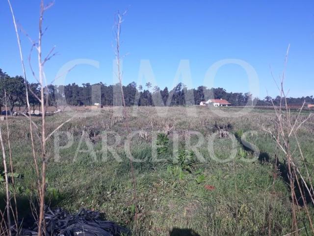 Terreno venda em Oliveira do Bairro