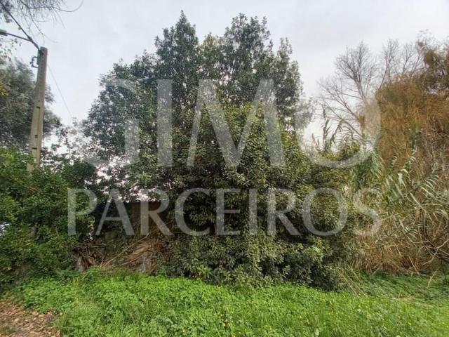 Terreno venda em Oliveira Do Bairro, Aveiro