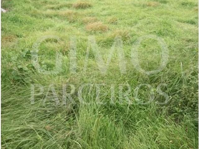 Terreno venda em Oliveira Do Bairro, Aveiro