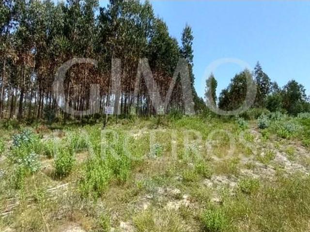 Terreno venda em Oliveira Do Bairro, Aveiro