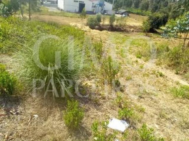 Terreno venda em Oliveira Do Bairro, Aveiro