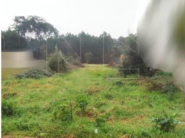 Terreno venda em Oliveira do Bairro