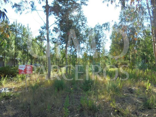 Terreno venda em Oliveira Do Bairro, Aveiro