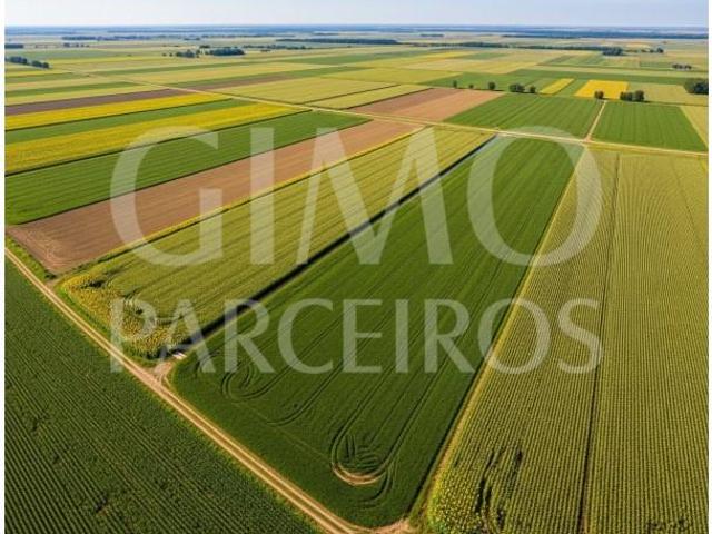 Terreno venda em Oliveira Do Bairro, Aveiro