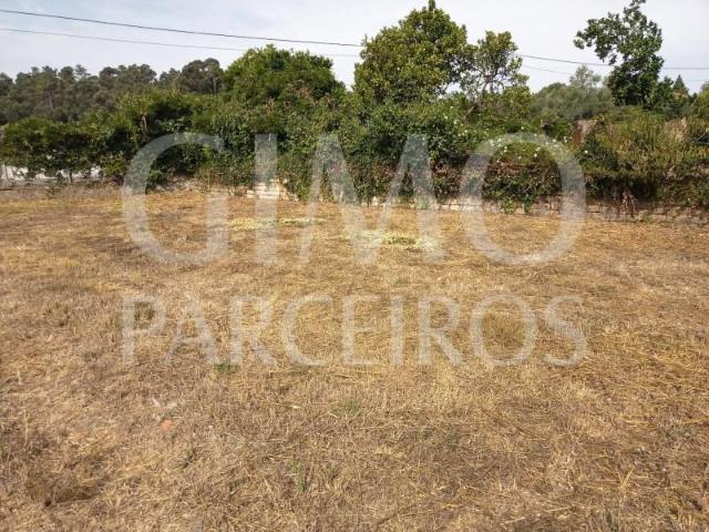 Terreno venda em Oliveira do Bairro