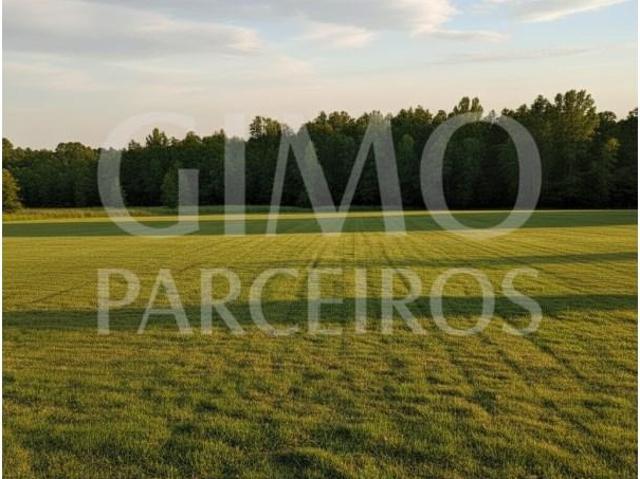 Terreno venda em Oliveira Do Bairro, Aveiro