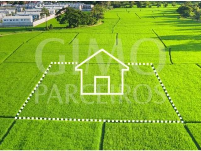 Terreno venda em Oliveira do Bairro
