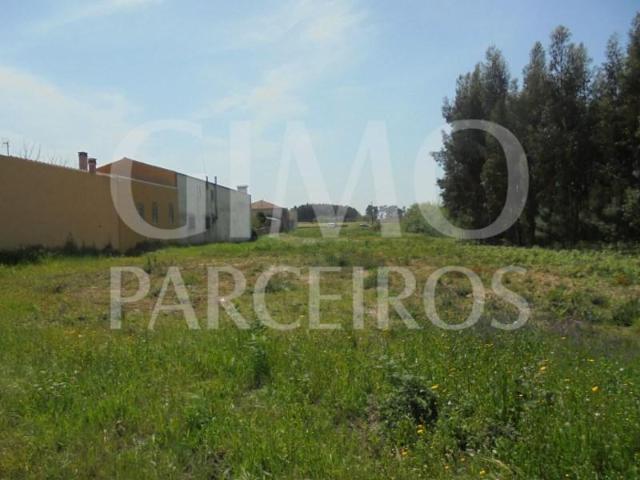 Terreno venda em Oliveira Do Bairro, Aveiro
