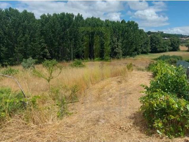 Terreno venda em Oliveira Do Hospital, Coimbra