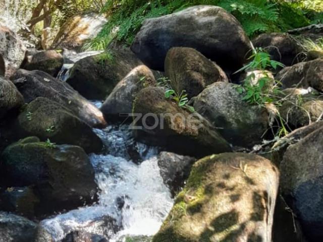 Terreno venda em Oliveira Do Hospital, Coimbra