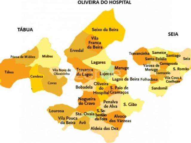 Terreno venda em Oliveira Do Hospital, Coimbra