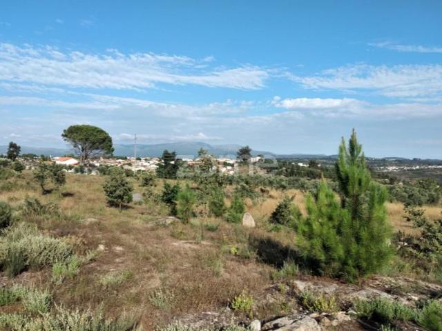 Terreno venda em Oliveira Do Hospital, Coimbra