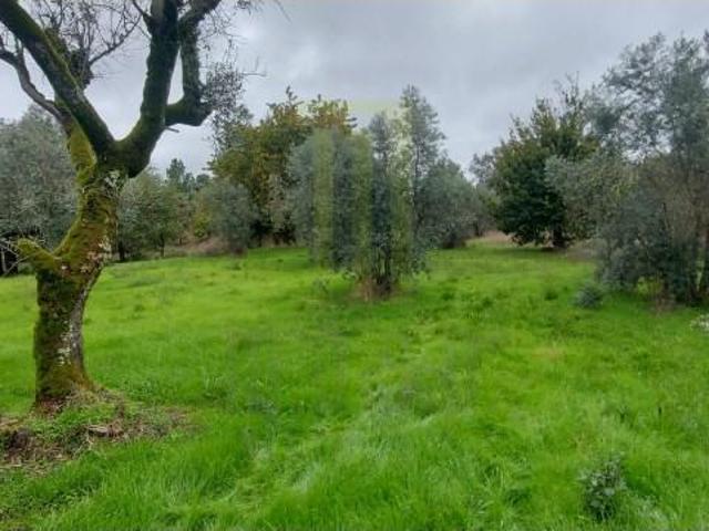 Terreno venda em Gavinhos de Cima, Oliveira Do Hospital