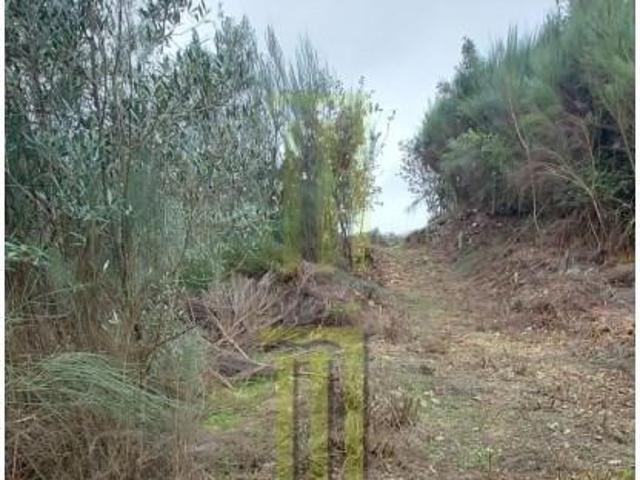 Terreno venda em Gavinhos de Cima, Coimbra