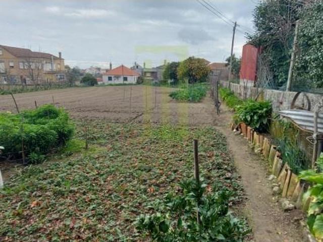 Terreno venda em Oliveira Do Hospital, Coimbra