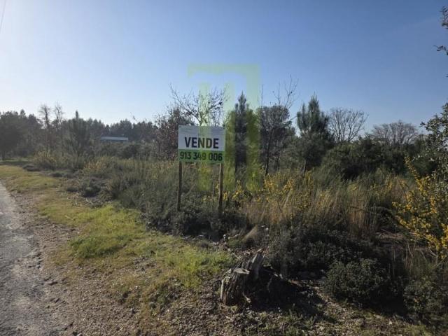Terreno venda em Oliveira Do Hospital, Coimbra