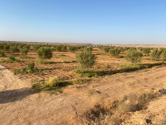Terrain vente à Gabes, Gabes Medina