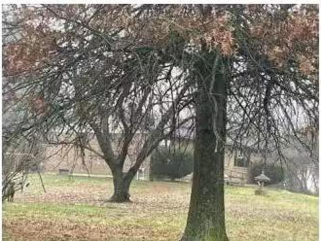 House for sale in Elkton