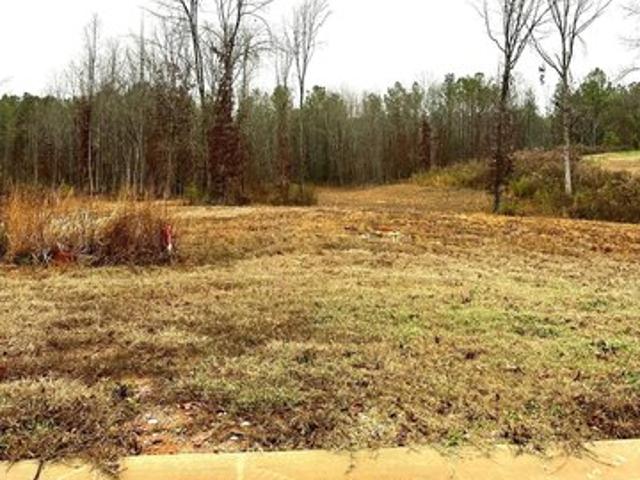Land for sale in Woodstock, Alabama