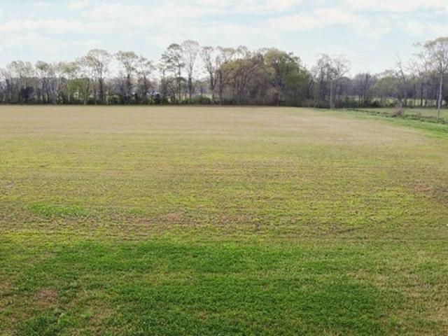 Land for sale in Arnaudville, Louisiana