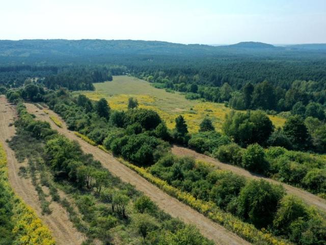 Grunt na sprzedaż w Ogrodzieniec, Śląskie