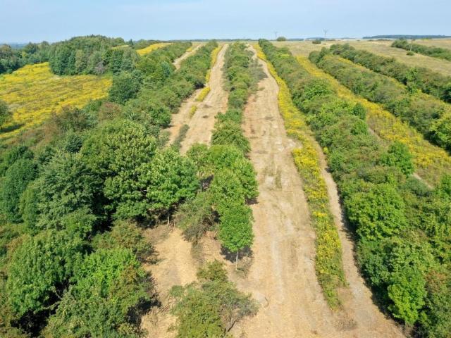 Grunt na sprzedaż w Ogrodzieniec, Śląskie