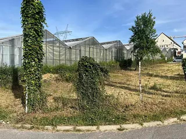 Terrain vente à Ollainville, Essonne