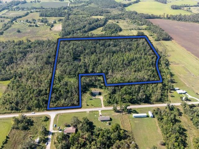 Land for sale in Rayville, Louisiana