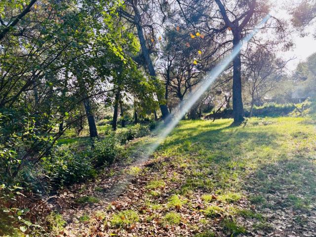 Terrain vente à Arrondissement de Toulon, Ollioules