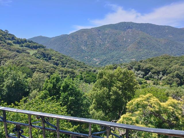 Appartement vente à Sartène, Olmiccia