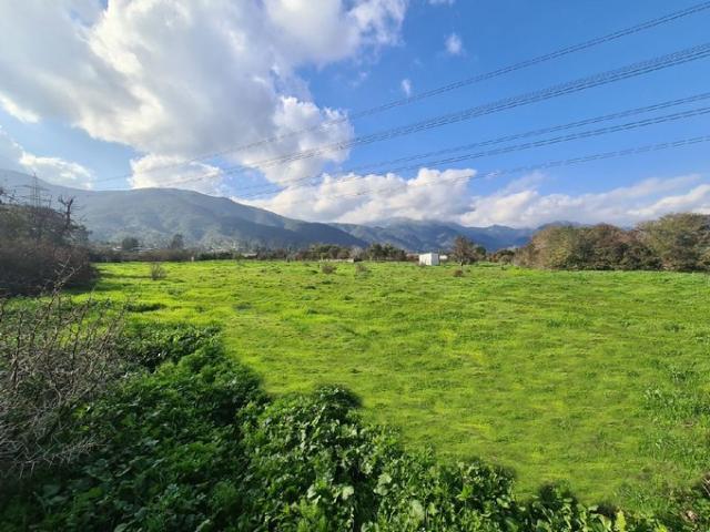 Olmué, Callejón El llano