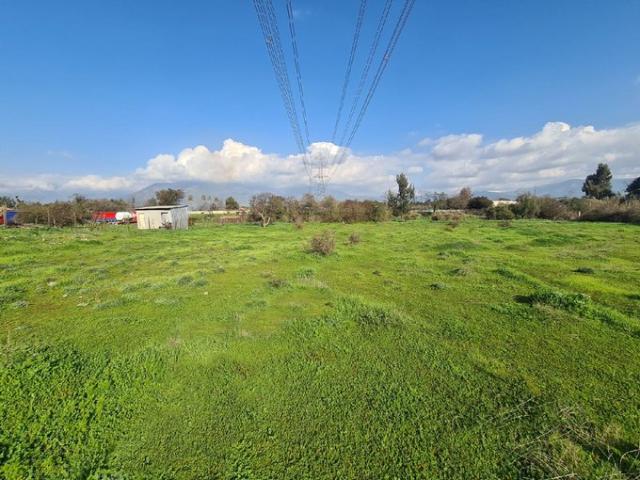 Olmué, Callejón El llano