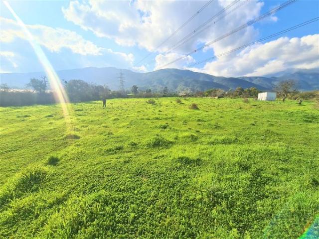 Olmué, Callejón El llano