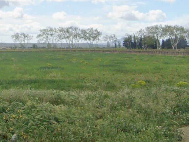 Terrain vente à Béziers, Olonzac