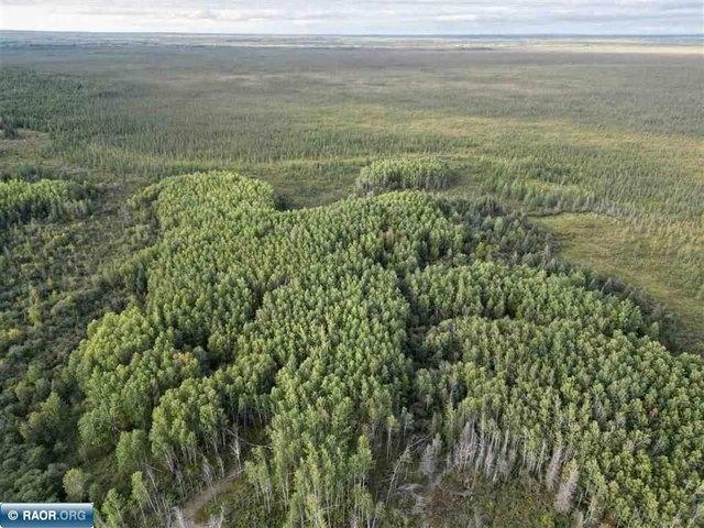 Land for sale in Orr, Minnesota