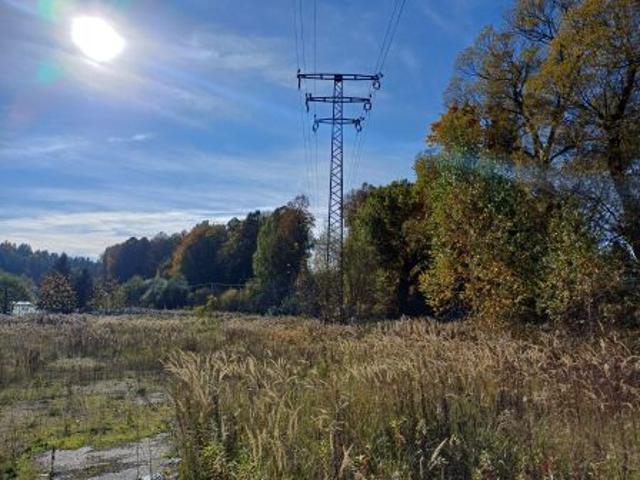 Grunt na sprzedaż w Olszyna, Dolnośląskie